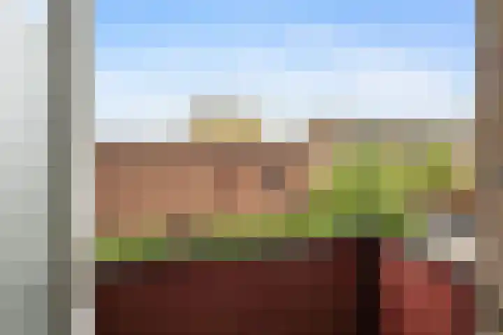 Betje Wolffstraat 64 Groningen thumbnail 18