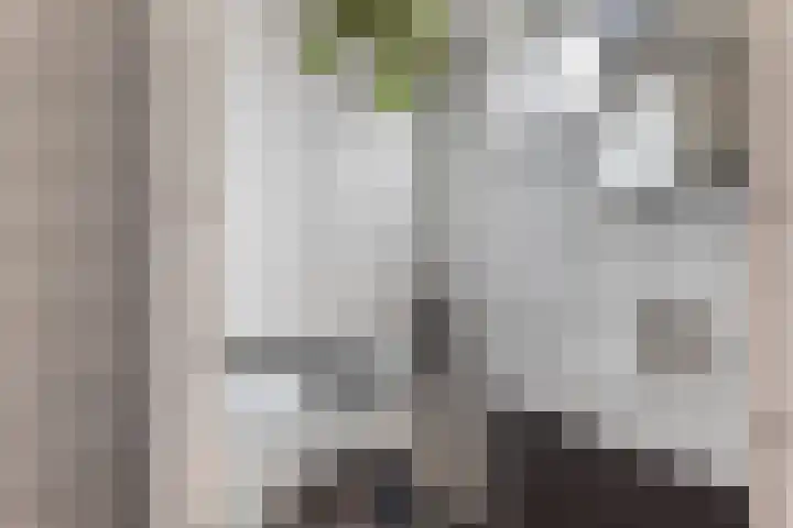 Betje Wolffstraat 64 Groningen thumbnail 23