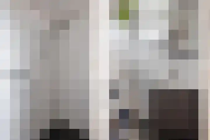 Betje Wolffstraat 64 Groningen thumbnail 24