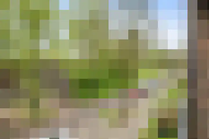 Betje Wolffstraat 64 Groningen thumbnail 27