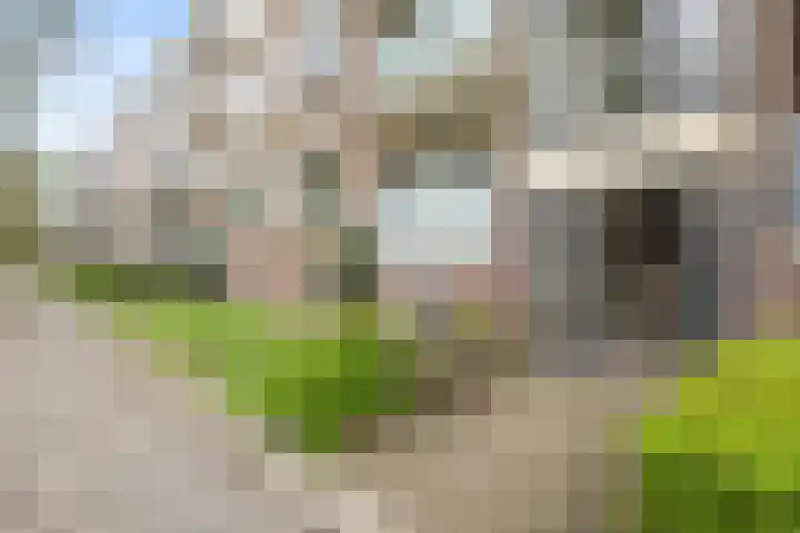 Betje Wolffstraat 64 Groningen thumbnail 30