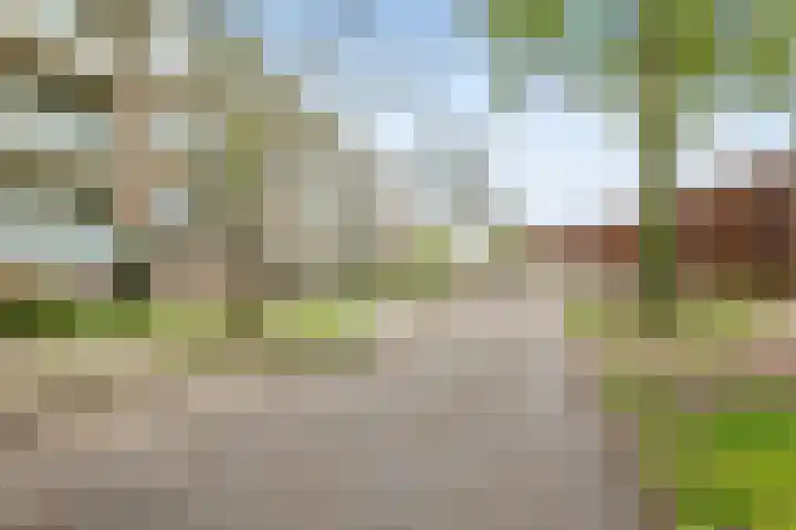 Betje Wolffstraat 64 Groningen thumbnail 32
