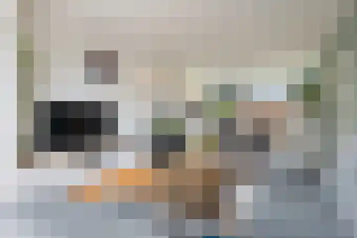 Betje Wolffstraat 64 Groningen thumbnail 8