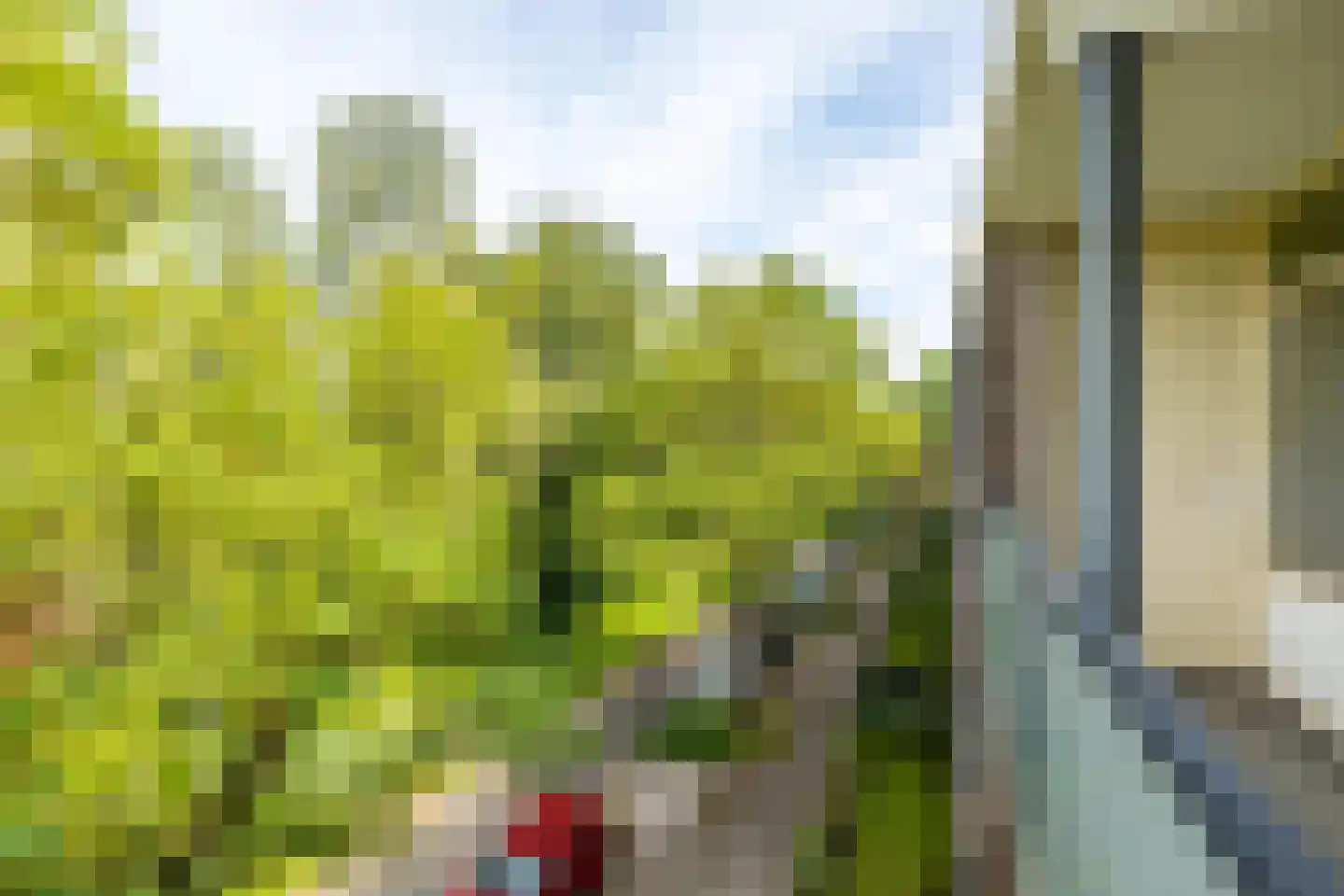 Betje Wolffstraat 70 Groningen thumbnail 13