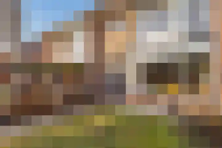 Betje Wolffstraat 73 Zwolle thumbnail 36