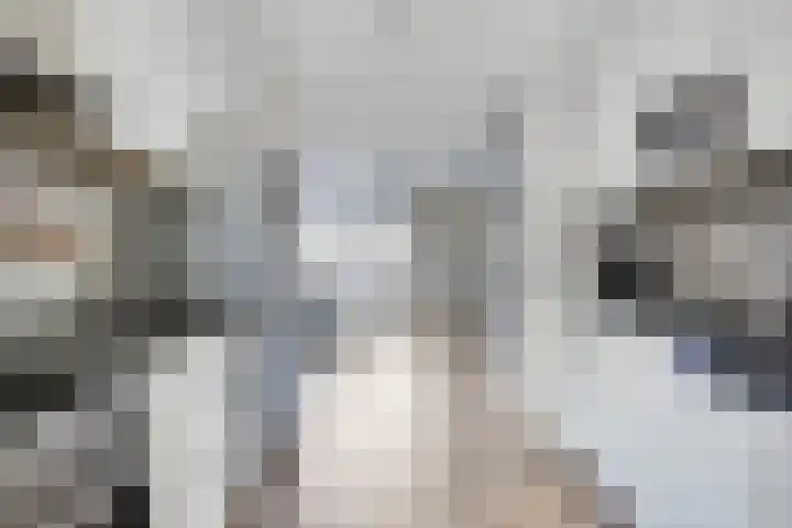 Betje Wolfftuin 17 Heerhugowaard thumbnail 12