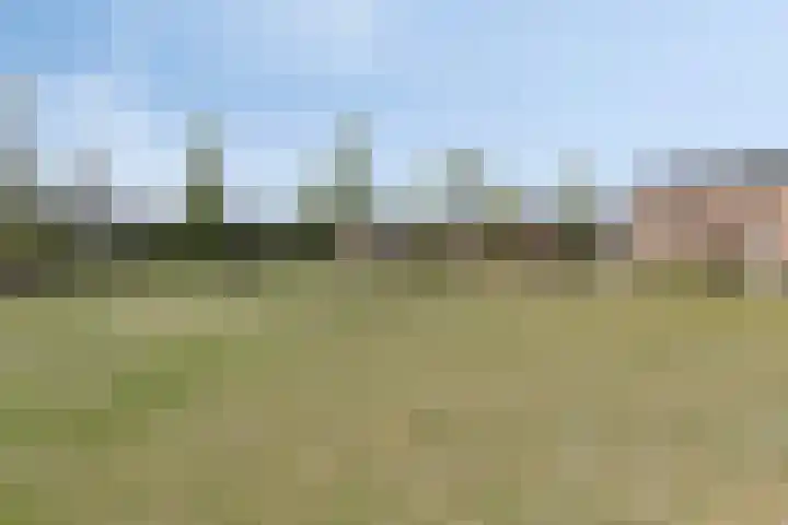 Betje Wolfftuin 17 Heerhugowaard thumbnail 33