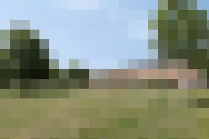 Betje Wolfftuin 17 Heerhugowaard thumbnail 34