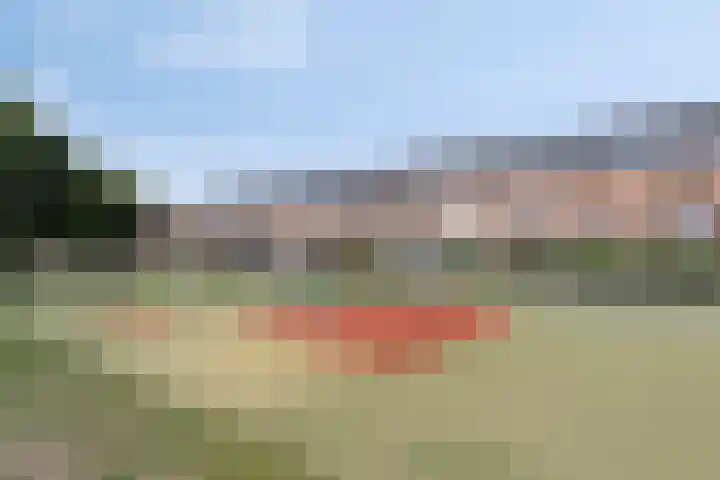 Betje Wolfftuin 17 Heerhugowaard thumbnail 35