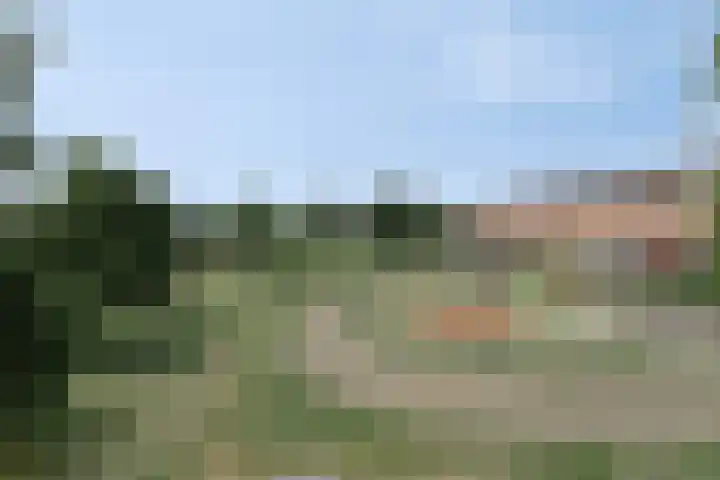 Betje Wolfftuin 17 Heerhugowaard thumbnail 36