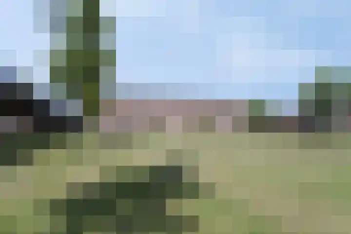 Betje Wolfftuin 17 Heerhugowaard thumbnail 38
