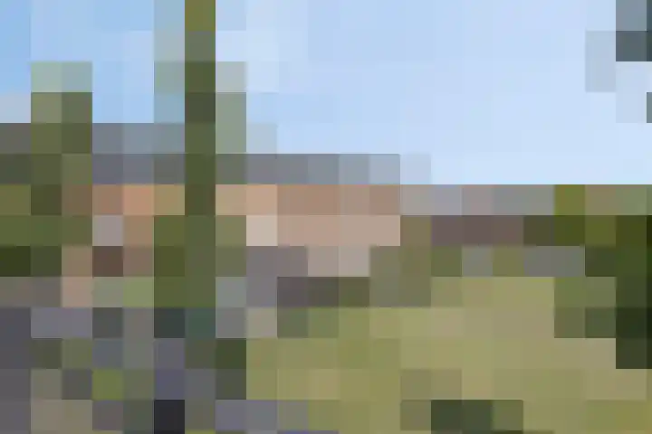 Betje Wolfftuin 17 Heerhugowaard thumbnail 39