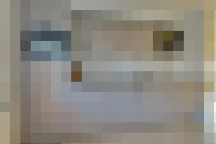 Betje Wolfftuin 9 Heerhugowaard thumbnail 14