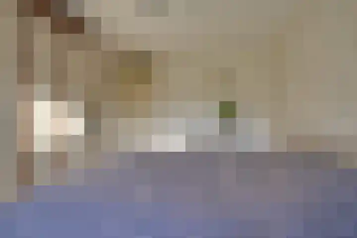 Betje Wolfftuin 9 Heerhugowaard thumbnail 22