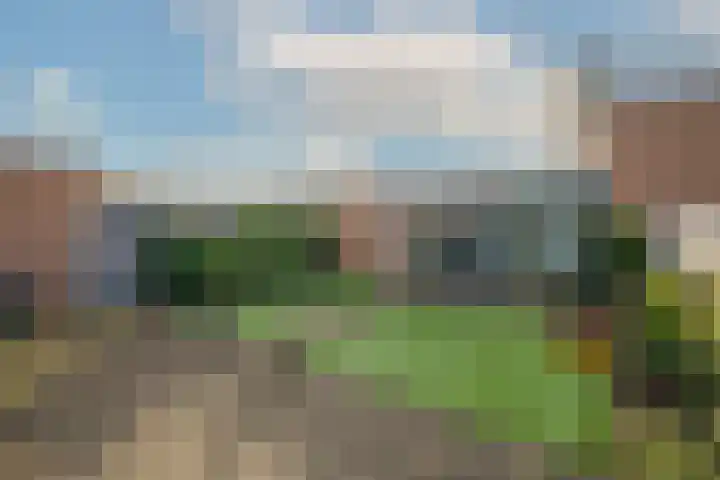 Betje Wolfftuin 9 Heerhugowaard thumbnail 29