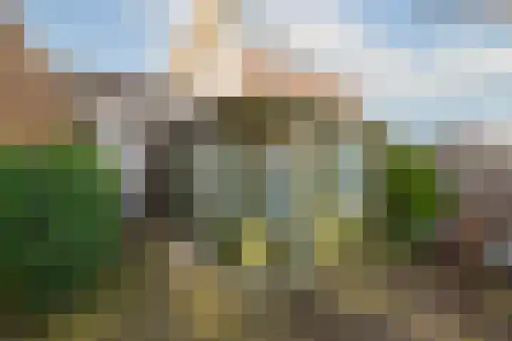 Betje Wolfftuin 9 Heerhugowaard thumbnail 30