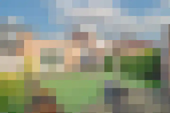 Betje Wolfftuin 9 Heerhugowaard thumbnail 31