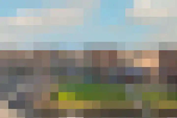 Betje Wolfftuin 9 Heerhugowaard thumbnail 37