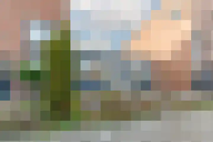 Betje Wolfftuin 9 Heerhugowaard thumbnail 4