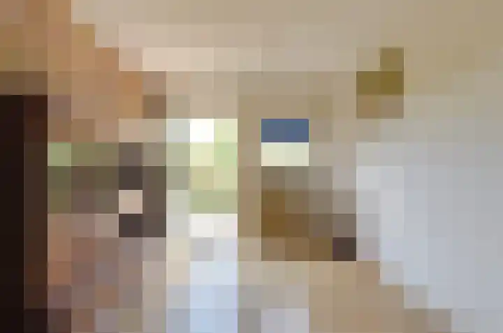 Betonwei 29 Harkema thumbnail 14