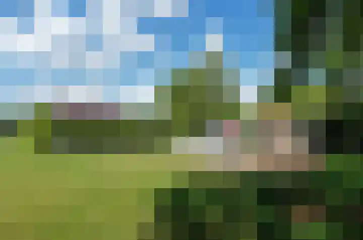 Betonwei 29 Harkema thumbnail 27