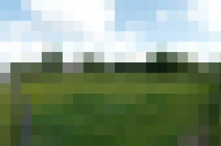 Betonwei 29 Harkema thumbnail 29