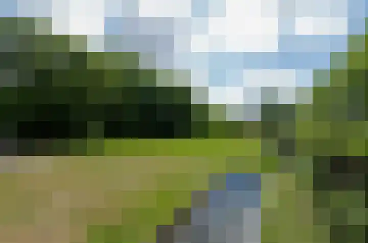 Betonwei 29 Harkema thumbnail 39