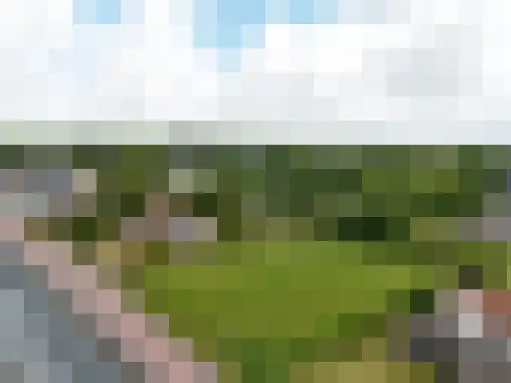 Betonwei 29 Harkema thumbnail 40