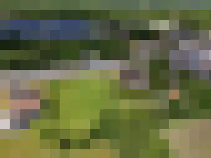 Betonwei 29 Harkema thumbnail 41