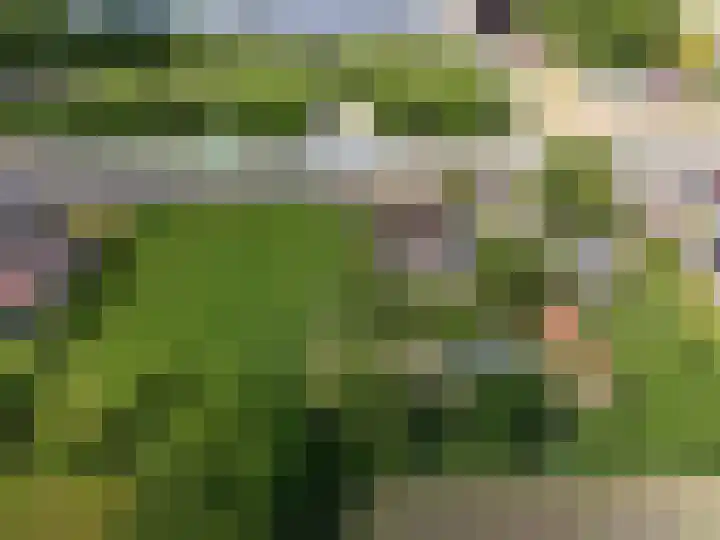 Betonwei 29 Harkema thumbnail 42