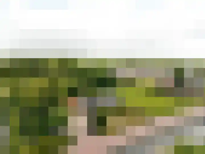 Betonwei 29 Harkema thumbnail 44