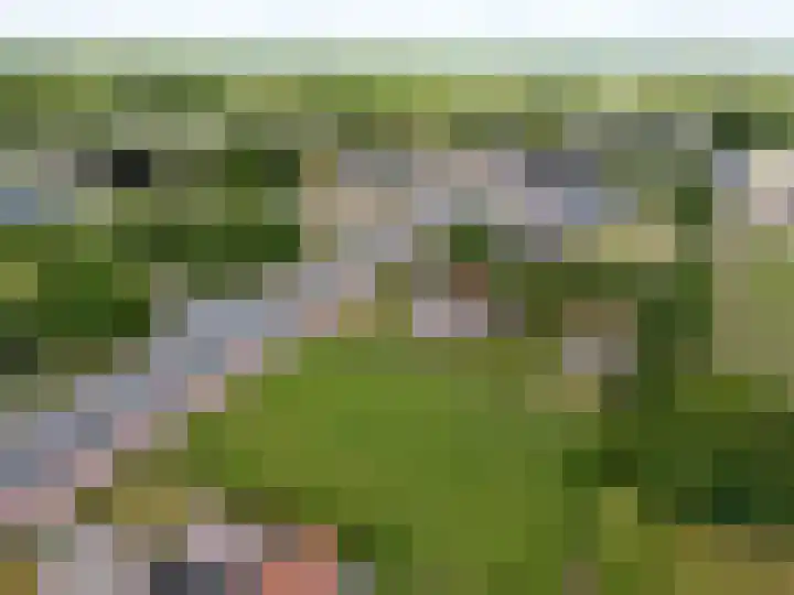 Betonwei 29 Harkema thumbnail 5