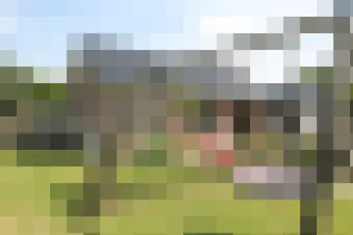 Betonwei 3 Harkema thumbnail 31