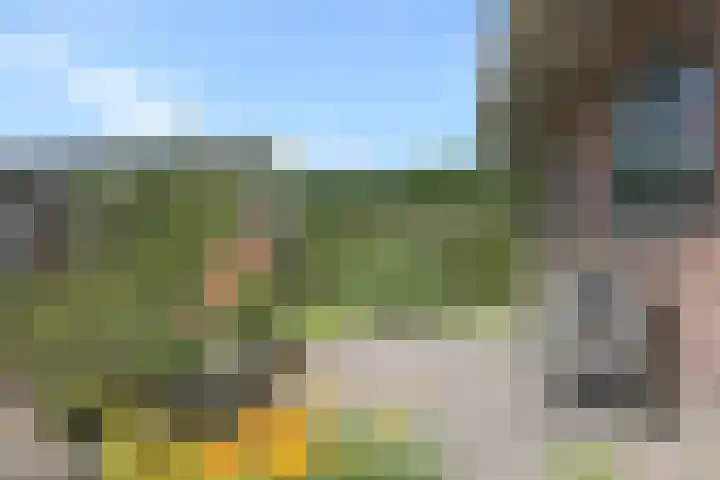 Betonwei 3 Harkema thumbnail 33