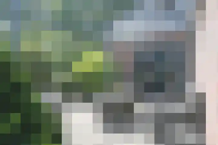 Betonwei 3 Harkema thumbnail 41