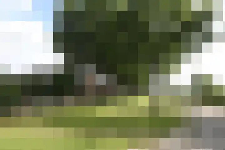 Betonwei 3 Harkema thumbnail 5