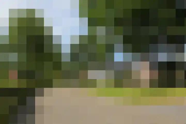 Betonwei 3 Harkema thumbnail 6