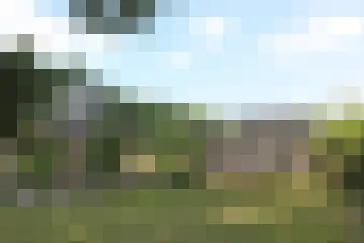 Betonwei 3 Harkema thumbnail 8