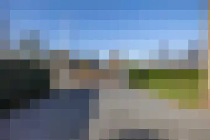 Betonwei 31 A Harkema thumbnail 44
