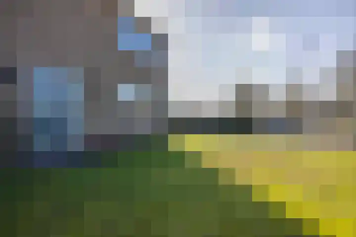 Betonwei 31 A Harkema thumbnail 7