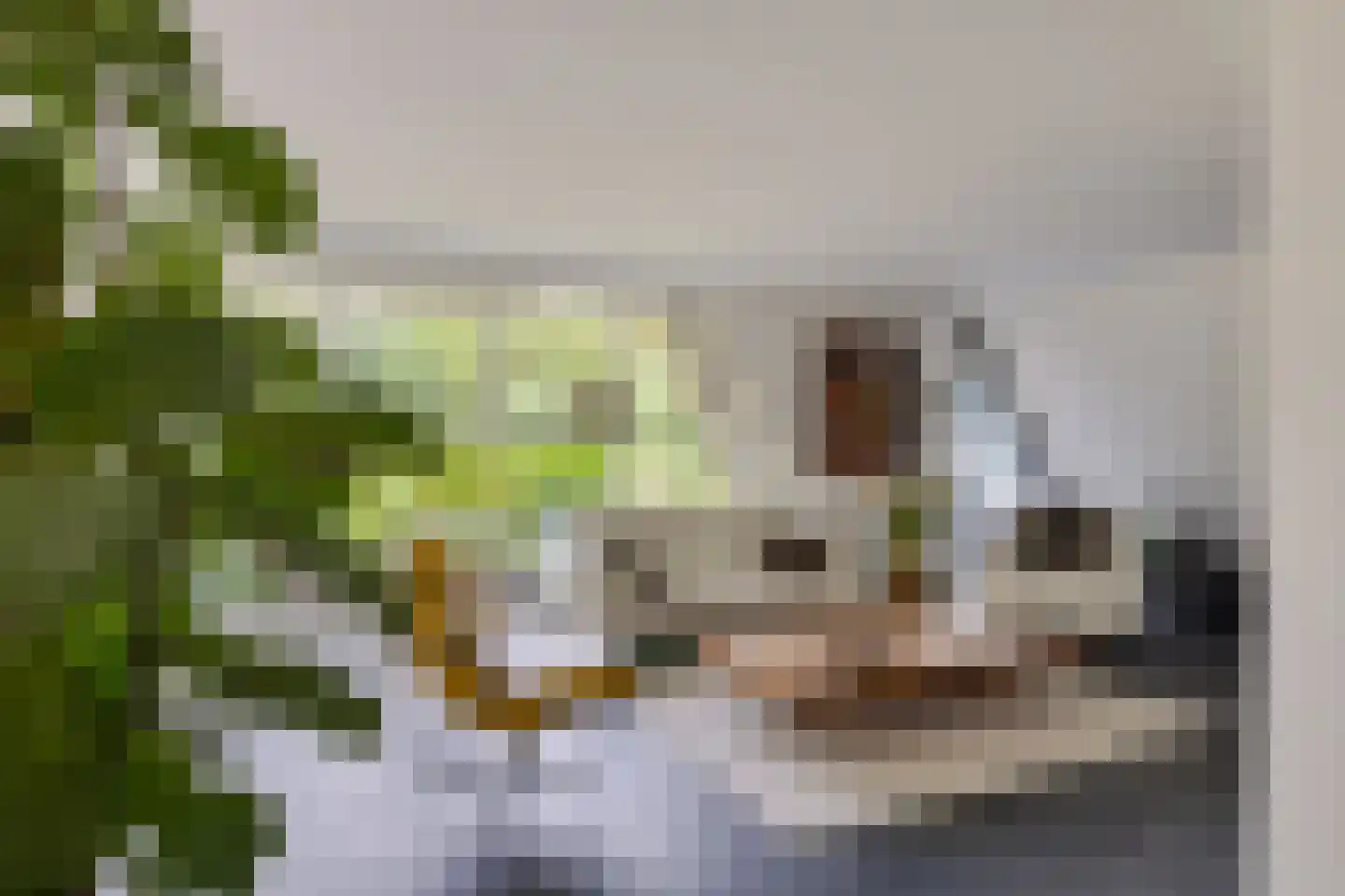 Betonwei 44 Harkema thumbnail 10
