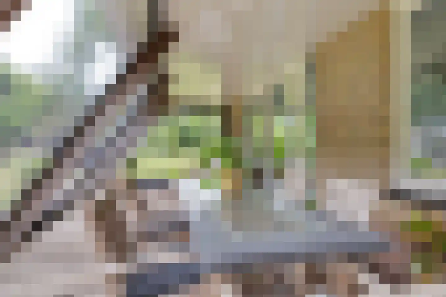 Betonwei 44 Harkema thumbnail 11