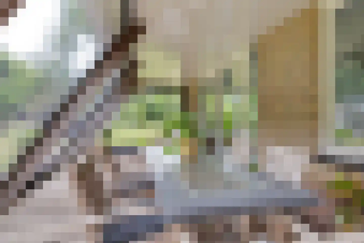 Betonwei 44 Harkema thumbnail 11
