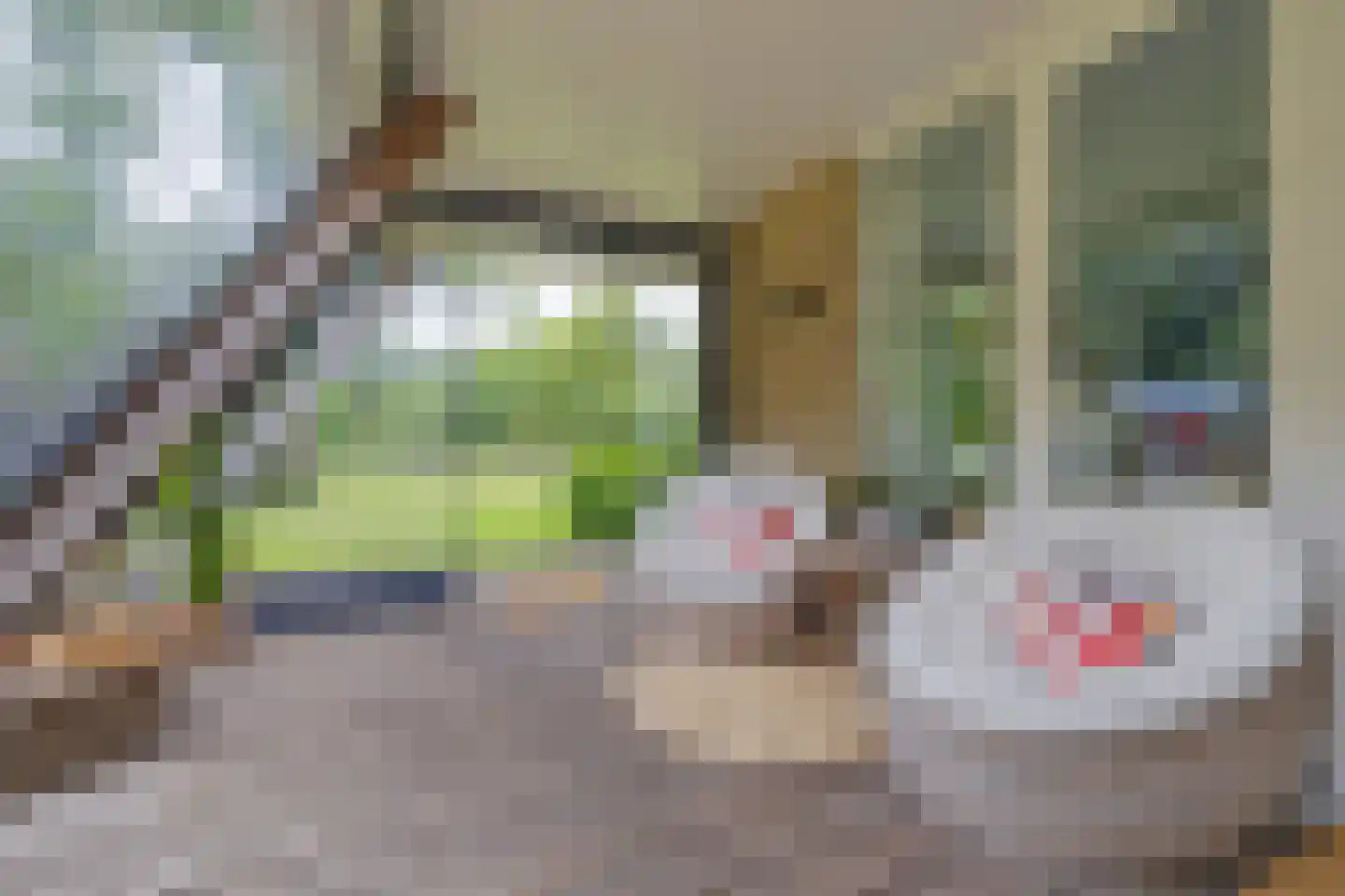 Betonwei 44 Harkema thumbnail 12