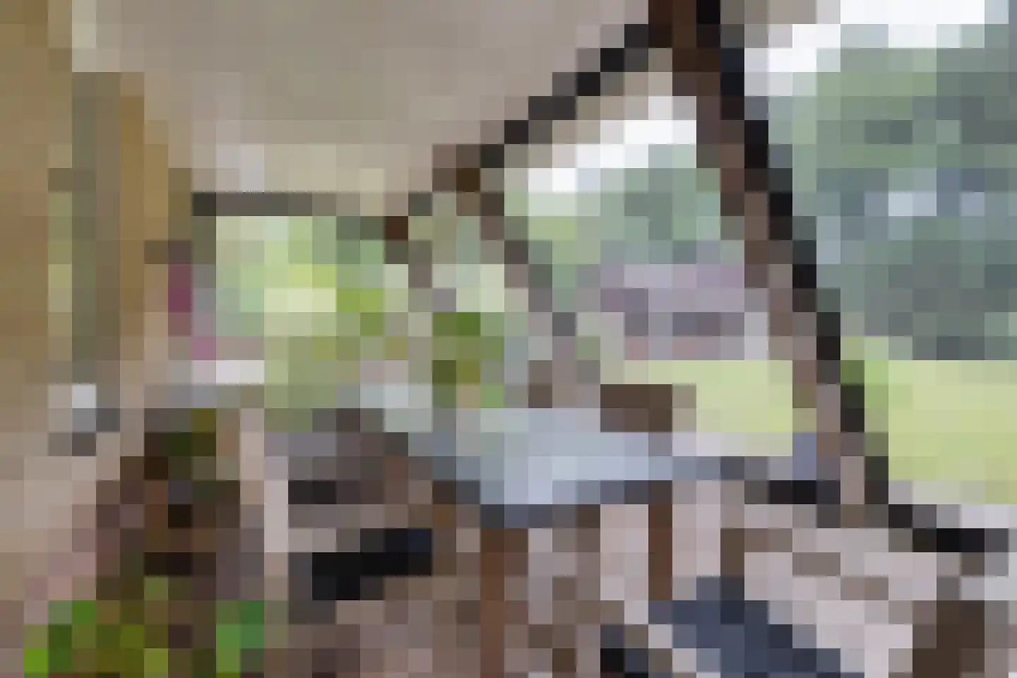 Betonwei 44 Harkema thumbnail 13