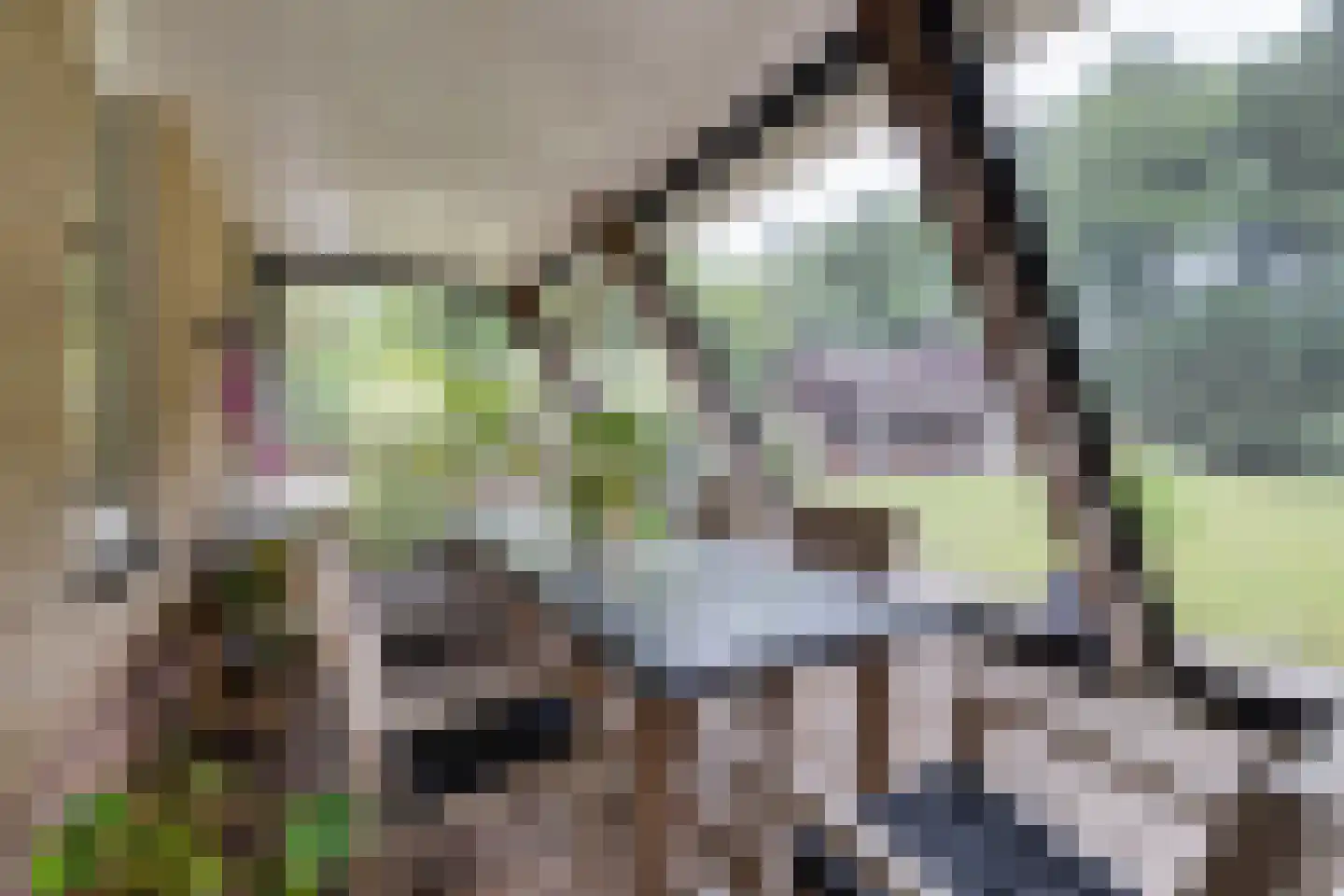 Betonwei 44 Harkema thumbnail 13