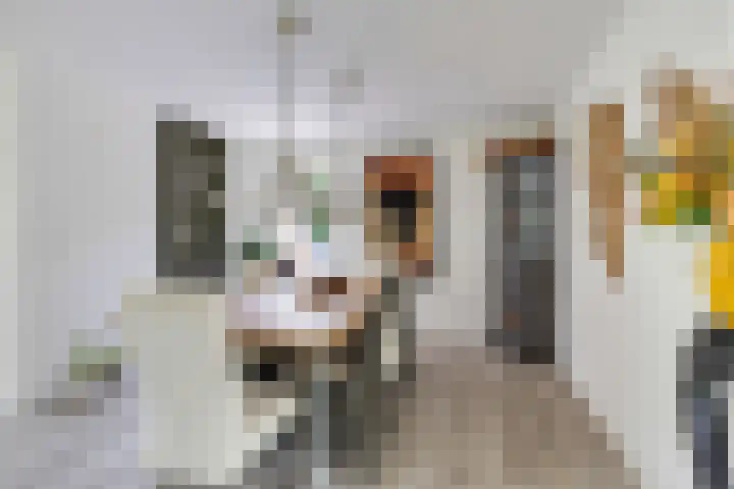 Betonwei 44 Harkema thumbnail 15