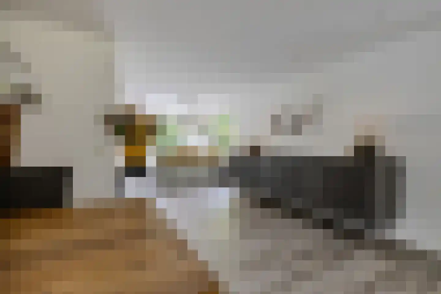 Betonwei 44 Harkema thumbnail 16
