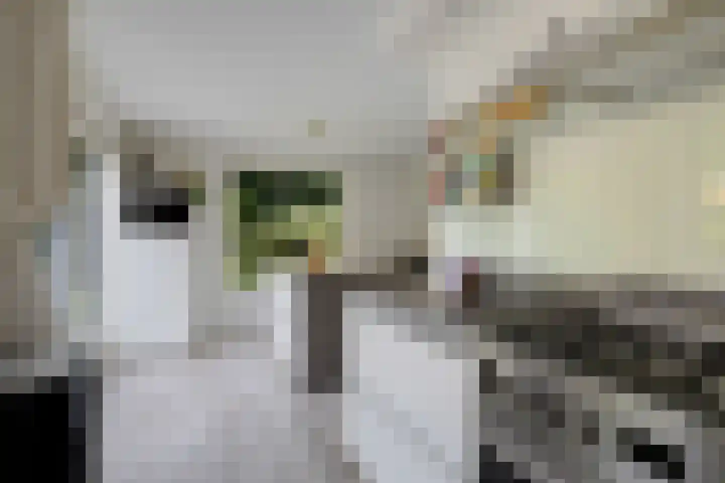 Betonwei 44 Harkema thumbnail 20