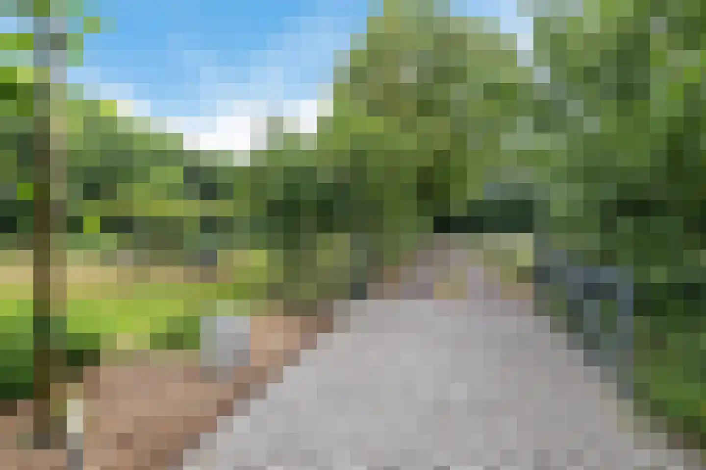 Betonwei 44 Harkema thumbnail 37
